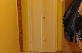 Apartament 2 camere, 50mp, Turnisor