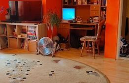 Apartament 2 camere, 50mp, Turnisor