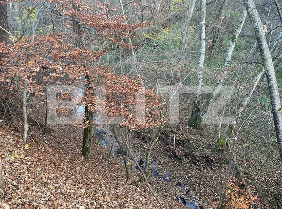 Teren de vânzare Exterior Est - 116482TV | BLITZ Sibiu | Poza4