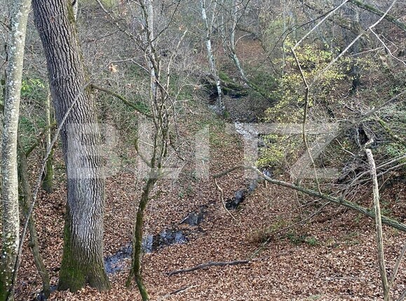 Teren de vânzare Exterior Est - 116482TV | BLITZ Sibiu | Poza10