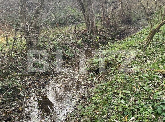 Teren de vânzare Exterior Est - 116482TV | BLITZ Sibiu | Poza3