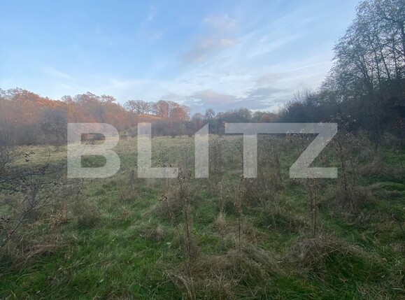 Teren de vânzare Exterior Est - 116482TV | BLITZ Sibiu | Poza6