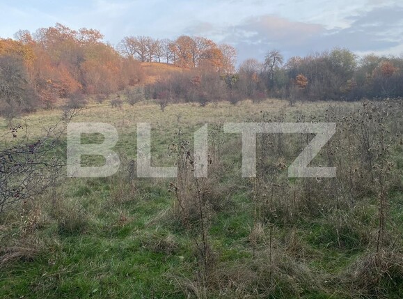 Teren de vânzare Exterior Est - 116482TV | BLITZ Sibiu | Poza1