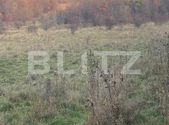 Teren de vânzare Exterior Est - 116482TV | BLITZ Sibiu | Poza7