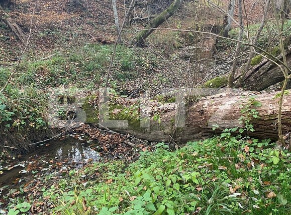 Teren de vânzare Exterior Est - 116482TV | BLITZ Sibiu | Poza8