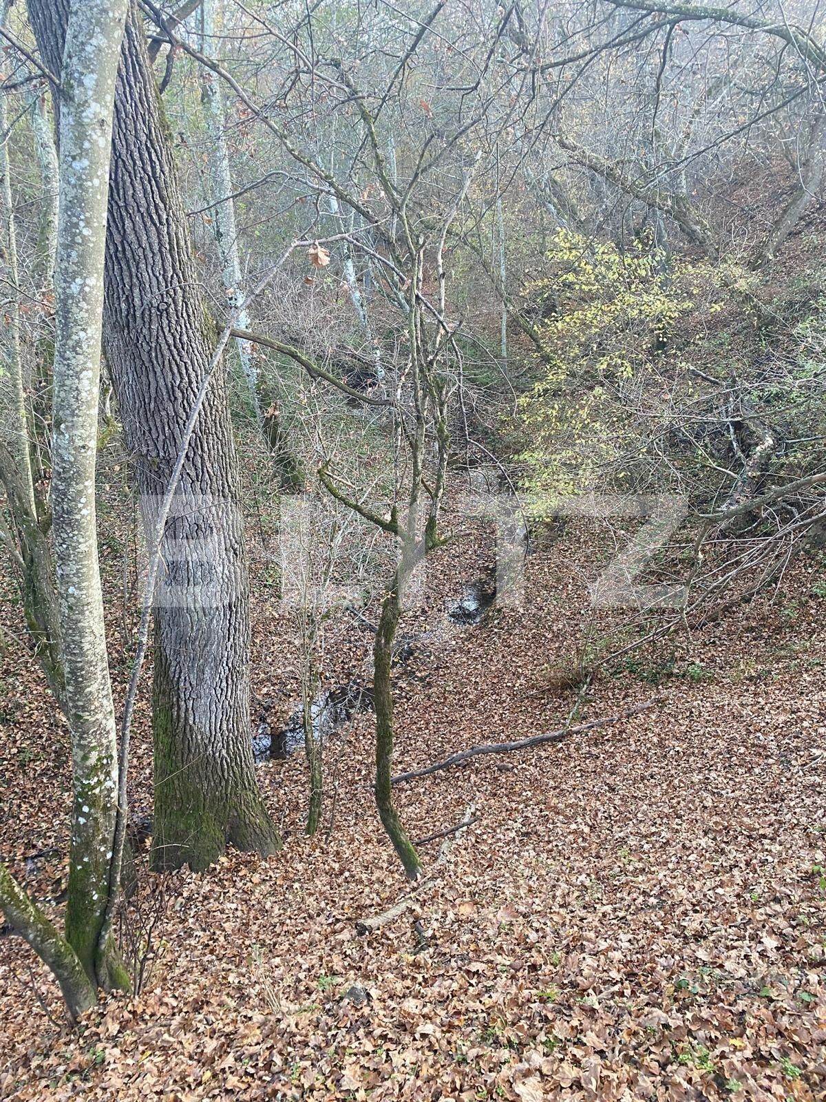 Teren de vânzare Exterior Est - 116482TV | BLITZ Sibiu | Poza5