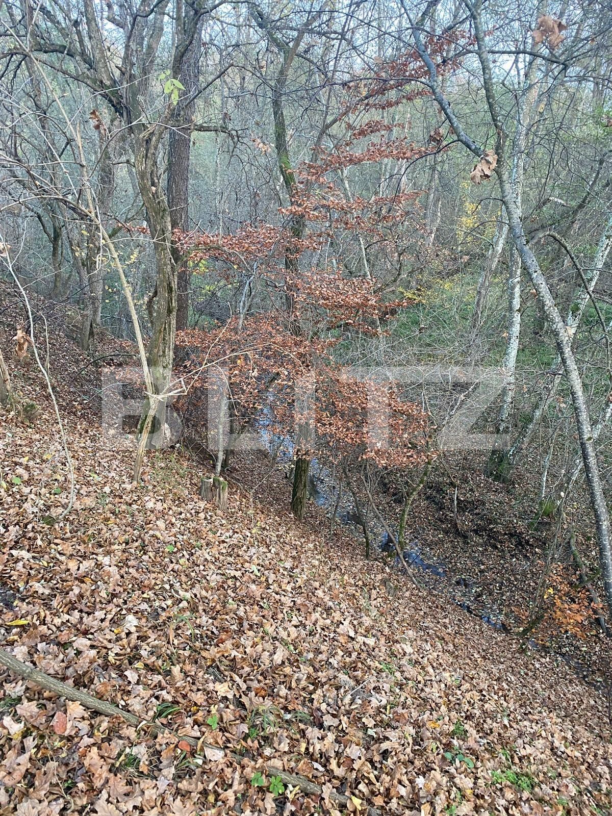 Teren de vânzare Exterior Est - 116482TV | BLITZ Sibiu | Poza9