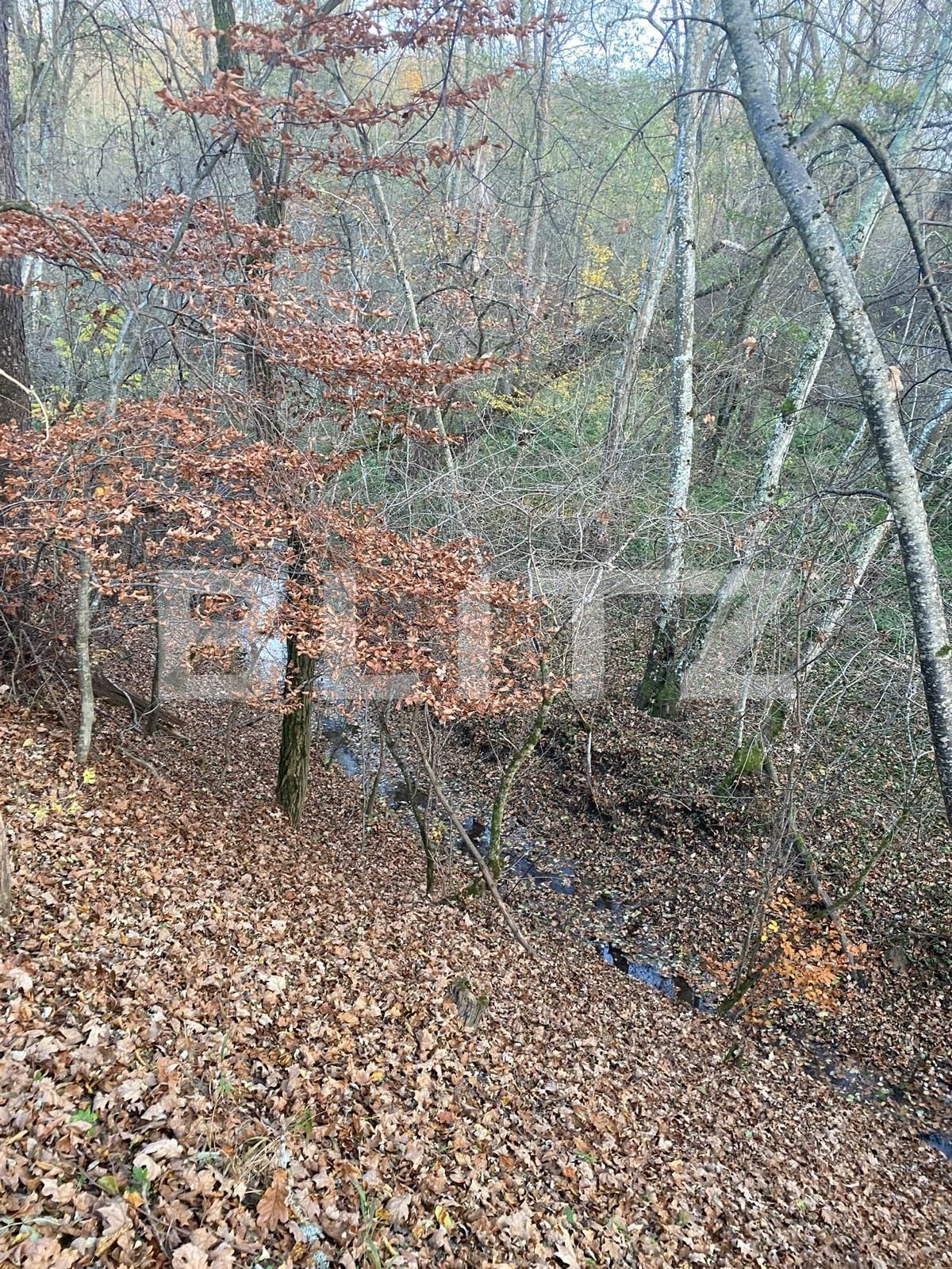 Teren de vânzare Exterior Est - 116482TV | BLITZ Sibiu | Poza4