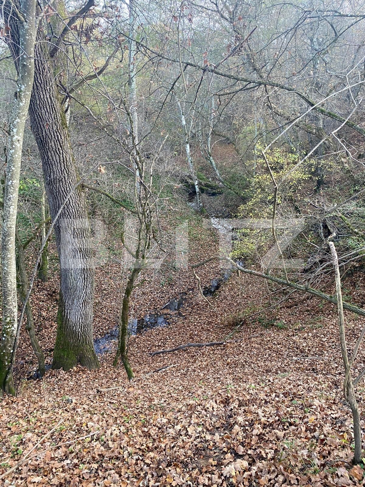 Teren de vânzare Exterior Est - 116482TV | BLITZ Sibiu | Poza10