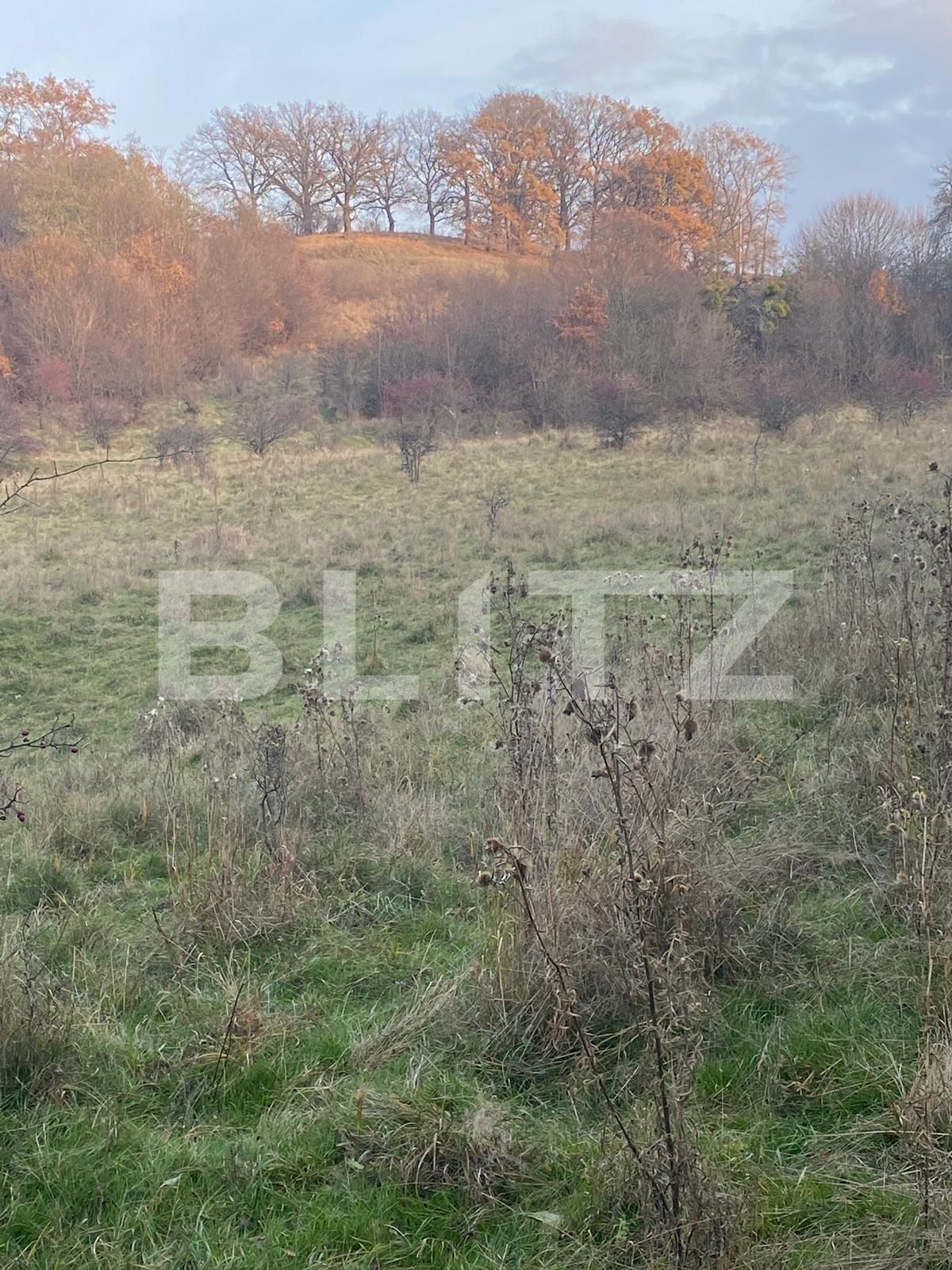 Teren de vânzare Exterior Est - 116482TV | BLITZ Sibiu | Poza7