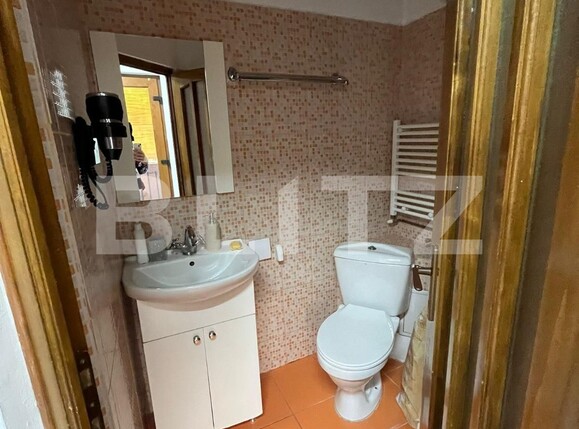 Apartament de închiriat 2 camere Orasul de Jos - 116551AI | BLITZ Sibiu | Poza3