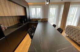 Penthouse 3 camere, 72mp, Turnisor