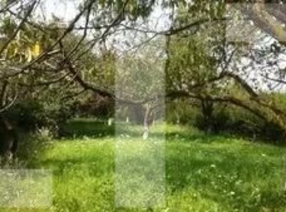 Teren de vânzare Sud Vest - 120285TV | BLITZ Sibiu | Poza1