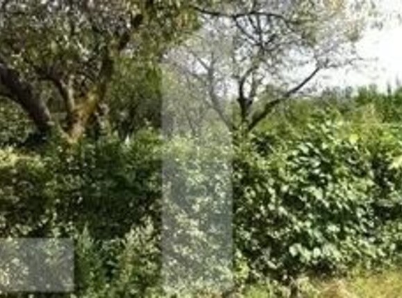 Teren de vânzare Sud Vest - 120285TV | BLITZ Sibiu | Poza2