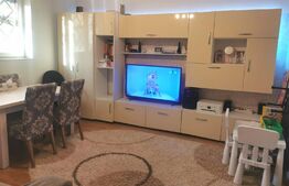Apartament 2 camere, 43 mp, cartier Terezian