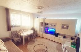 Apartament 2 camere, 43 mp, cartier Terezian