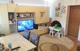 Apartament 2 camere, 43 mp, cartier Terezian