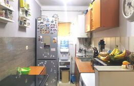 Apartament 2 camere, 43 mp, cartier Terezian