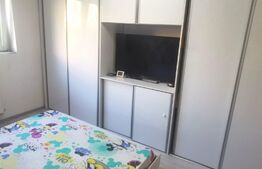 Apartament 2 camere, 43 mp, cartier Terezian