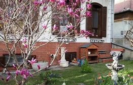 Casa 4 camere, 185 mp, Turnisor