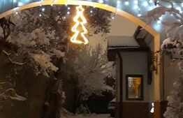 Casa 4 camere, 185 mp, Turnisor