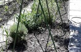 Casa 4 camere, 185 mp, Turnisor