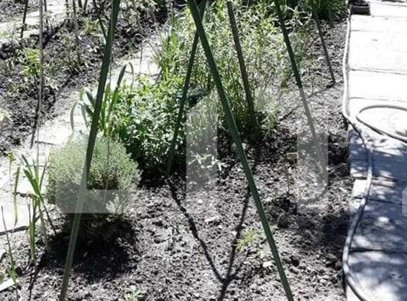 Casa de vânzare 1 camera Turnisor - 120398CV | BLITZ Sibiu | Poza1