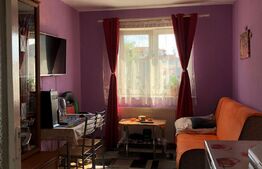 Apartament 2 camere, 30mp, luminos, zona Tiglari