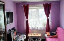 Apartament 2 camere, 30mp, luminos, zona Tiglari