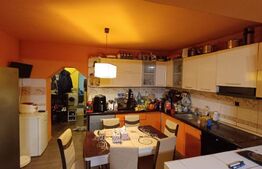 Casa 3 camere, 477  mp, cartier Terezian