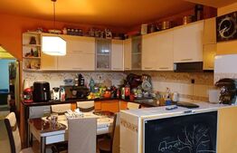 Casa 3 camere, 477  mp, cartier Terezian