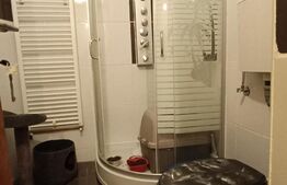 Casa 3 camere, 477  mp, cartier Terezian