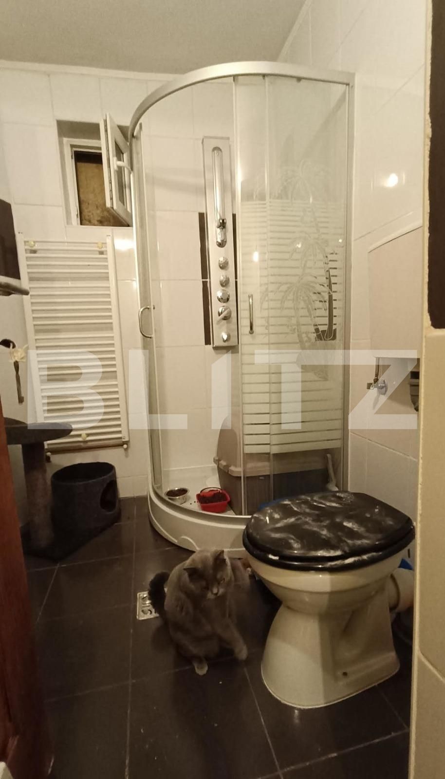 Casa de vânzare 3 camere Terezian - 121925CV | BLITZ Sibiu | Poza11