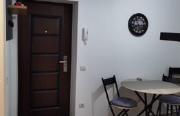 Garsoniera, 43 mp, spatios, zona Centrala