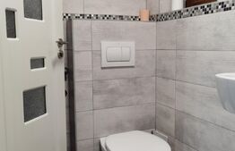 Garsoniera, 43 mp, spatios, zona Centrala