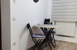 Garsoniera, 43 mp, spatios, zona Centrala