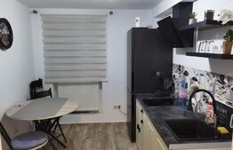 Garsoniera, 43 mp, spatios, zona Centrala