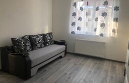 Garsoniera decomandata, suprafata generoasa