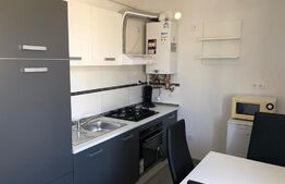 Garsoniera decomandata, suprafata generoasa