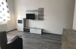 Garsoniera decomandata, suprafata generoasa