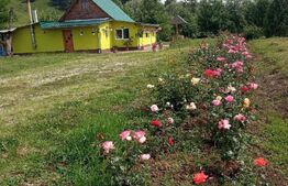 Casa 3 camere, 125mp utili, Comuna Rosia