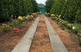 Casa 3 camere, 125mp utili, Comuna Rosia