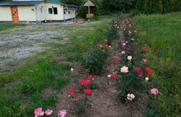 Casa 3 camere, 125mp utili, Comuna Rosia