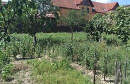 Casa 120mp, curte 504mp , garaj, pivnita,pod.