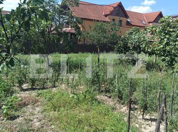 Casa de vânzare 3 camere Turnisor - 123066CV | BLITZ Sibiu | Poza11