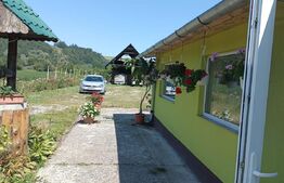 Casa, 120 mp, teren 4716 mp, piscina, pivnita, zona Est