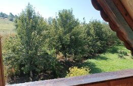 Casa, 120 mp, teren 4716 mp, piscina, pivnita, zona Est