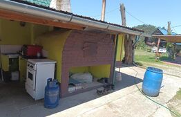 Casa, 120 mp, teren 4716 mp, piscina, pivnita, zona Est