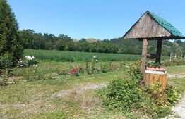 Casa, 120 mp, teren 4716 mp, piscina, pivnita, zona Est