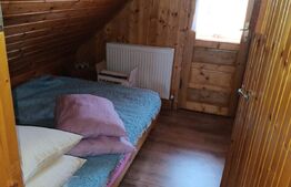 Casa, 120 mp, teren 4716 mp, piscina, pivnita, zona Est